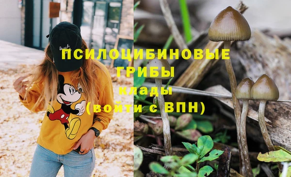 MDMA Premium VHQ Лагань
