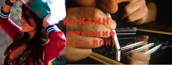 шишки Ладушкин