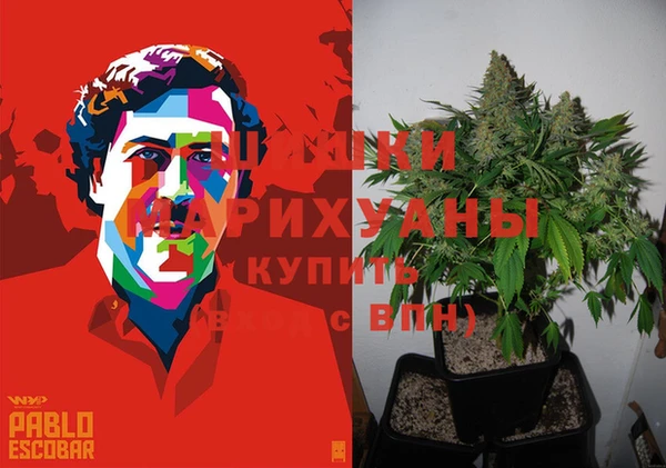 шишки Ладушкин