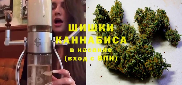шишки Ладушкин
