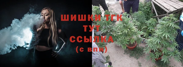 шишки Ладушкин